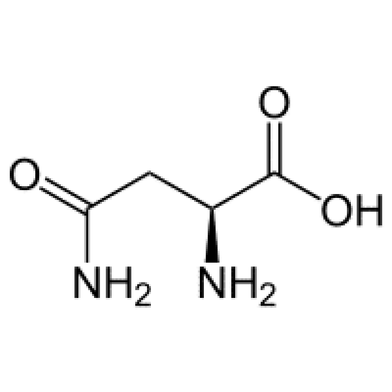 L-Asparagine AR 100g