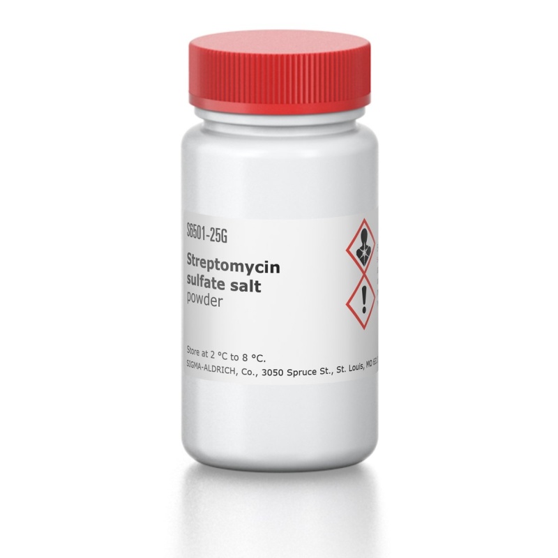 Streptomycin Sulfate Salt 25g