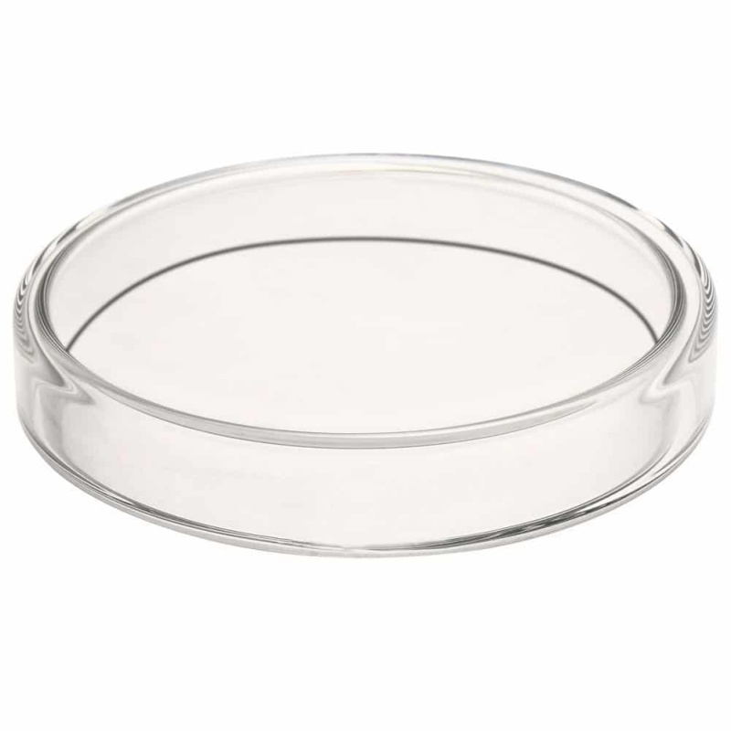 Glass Petri Dishes* - Image 2